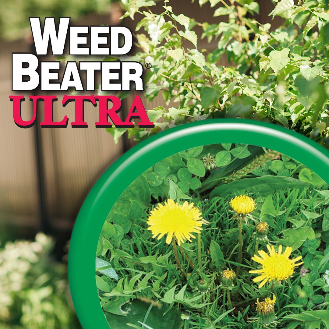 Weed Beater Ultra Spray – Bonide – 32 oz
